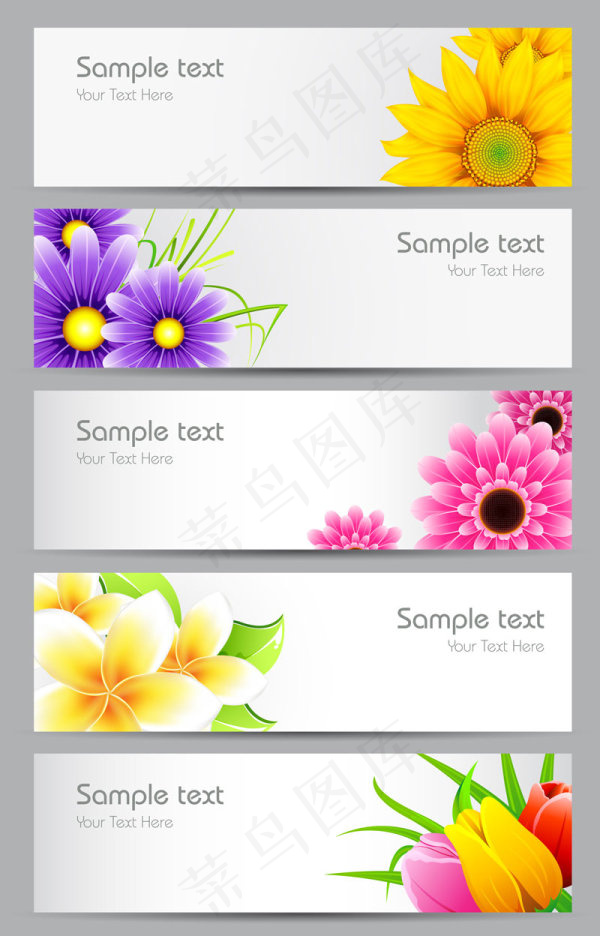 鲜花banner01—矢量素材eps,ai矢量模版下载