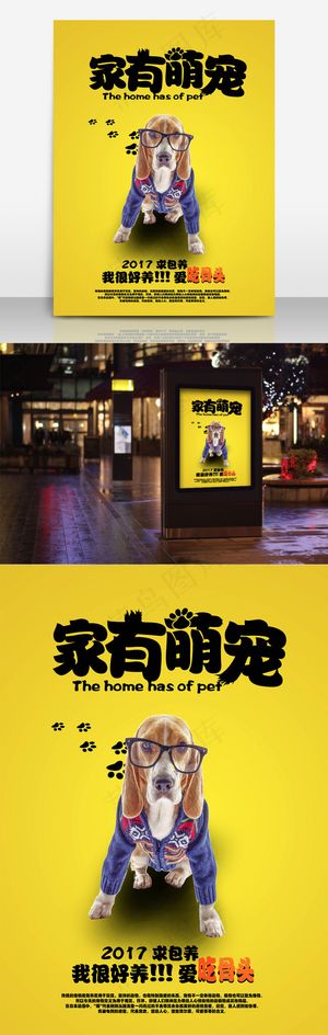 宠物狗萌宠宣传海报