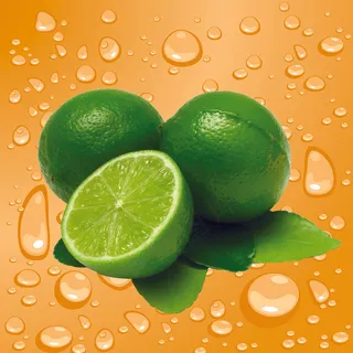 Fruits_234_效果图