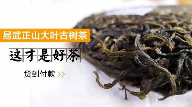 普洱生茶(1000X560(DPI:72))psd模版下载