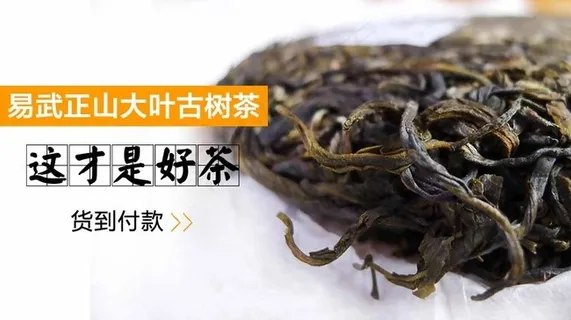 普洱生茶