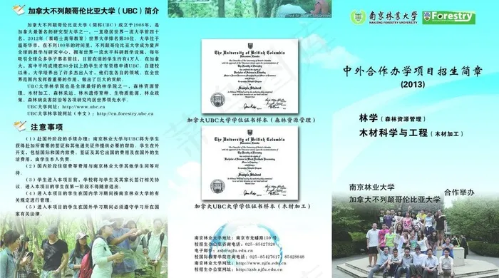 招生简章三折页图片(3969X2433(DPI:300))psd模版下载
