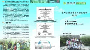 招生简章三折页图片
