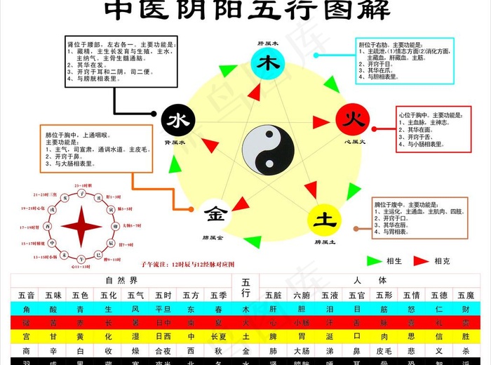 中医阴阳五行图解图片