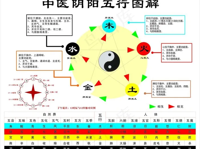 中医阴阳五行图解图片cdr矢量模版下载