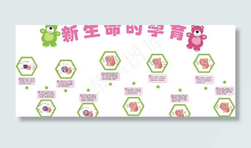 新生命的孕育图片