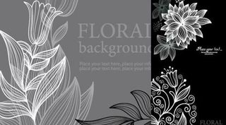 三款优美线条花纹矢量素材