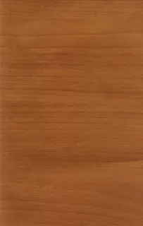 原木单开门木门3D效果