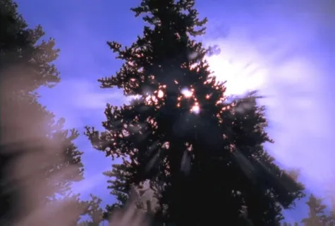 高山森林视频素材模板下载