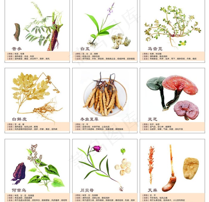 中药图框分类图片(2000X2000)cdr矢量模版下载