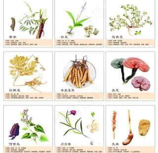 中药图框分类图片