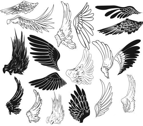 高清晰新款翅膀PS笔刷