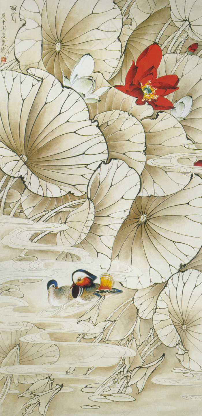 中国画 花鸟画 工笔画