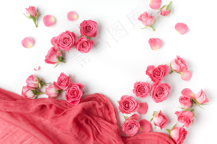 粉色玫瑰花静物设计素材