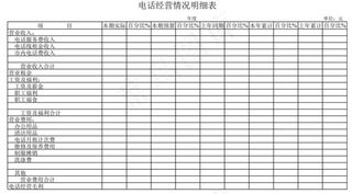 电话经营情况明细表