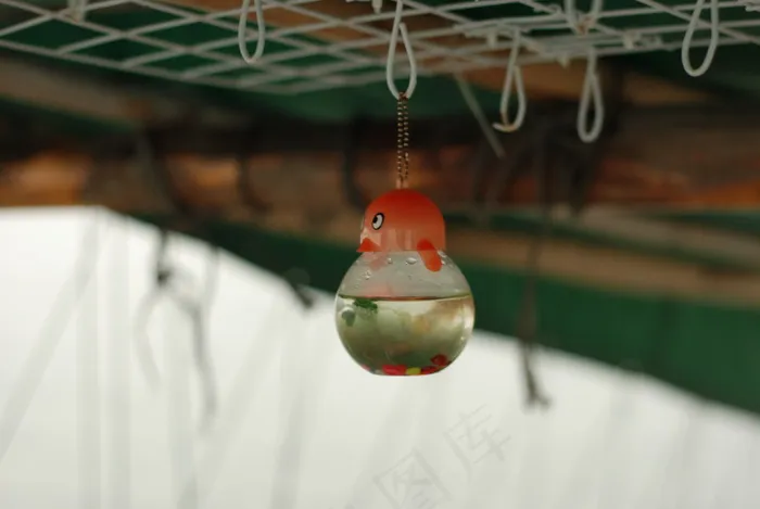 渔船 小鱼缸图片