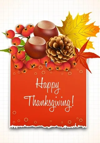 秋季果实矢量卡片素材三