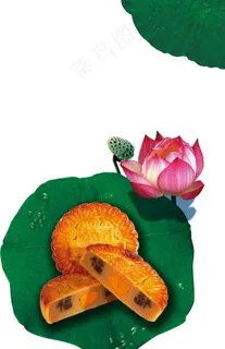 月饼荷花荷叶莲蓬图片 月饼荷花荷叶莲蓬图片