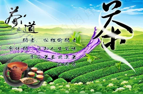 茶山图片