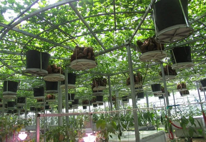 天上人间图片