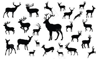 动物剪影插画设计矢量素材