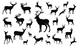 动物剪影插画设计矢量素材