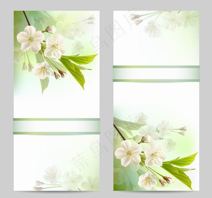 春天鲜花花卡图片eps,ai矢量模版下载
