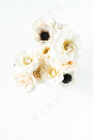 简约小清新文艺风插花静物摆拍背景