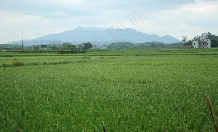 田园风景图图片