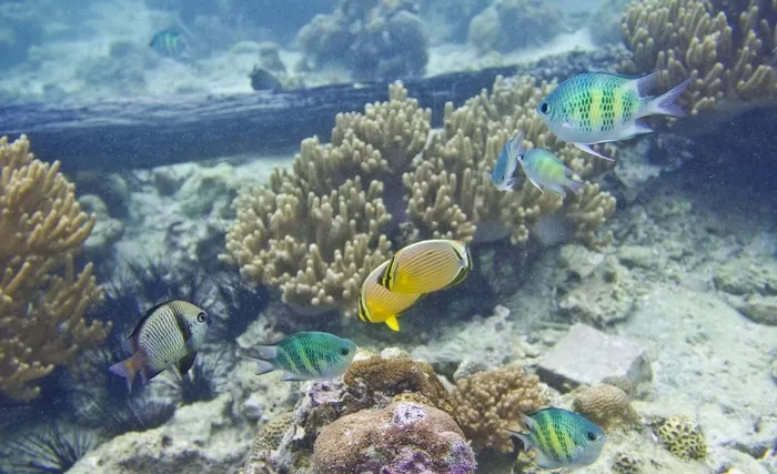 沙巴海景风光图片