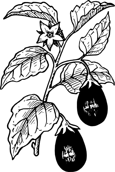 茄子剪贴画