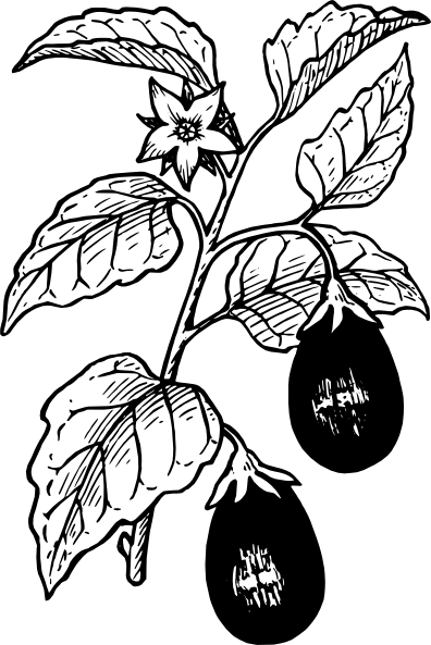 茄子剪贴画