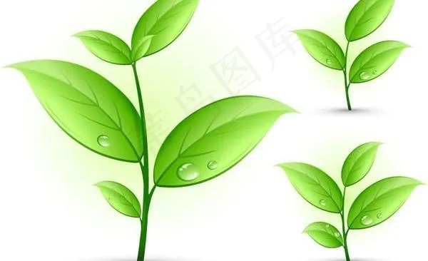 春天的草和树叶矢量素材eps,ai矢量模版下载