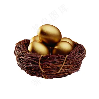 金窝金鸡蛋