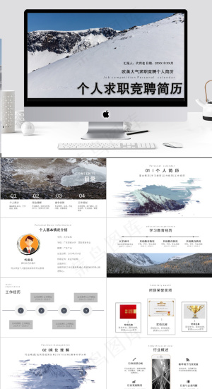 欧美大气岗位竞聘个人简历PPT模板预览图