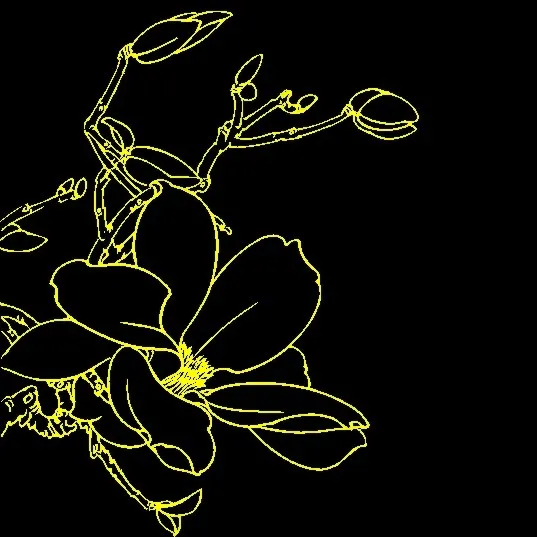 白描花卉 矢量CDR_04cdr矢量模版下载