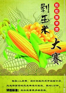 剥玉米大赛