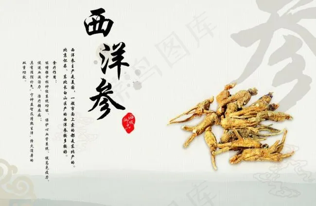 药材画册目录图片psd模版下载
