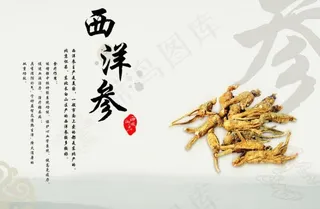 药材画册目录图片