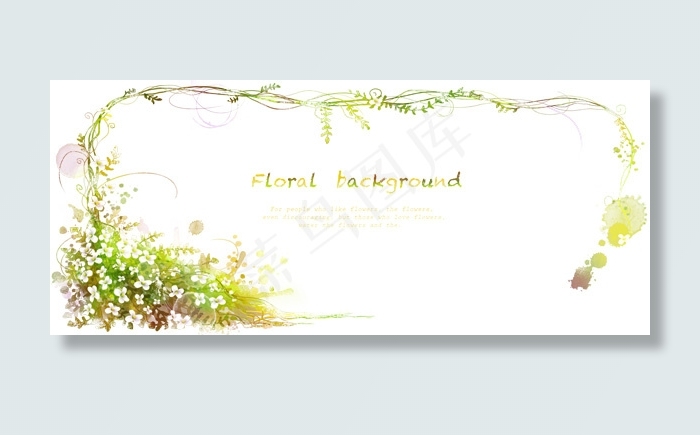 小花与藤蔓植物