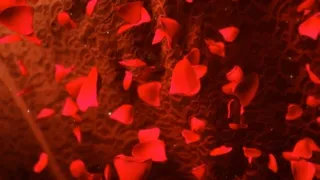 红色背景素材下载