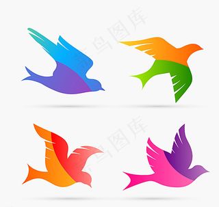 拼色鸽子 设计图片