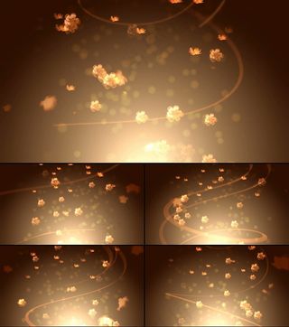 高清金色小花飘舞视频素材