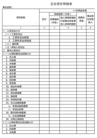 支出项目明细表