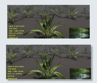 Tropical plant 02...