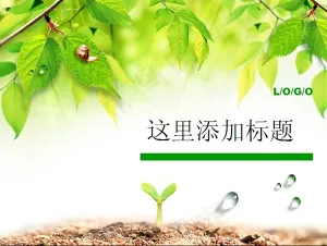 淡雅春天背景PPT模板预览图