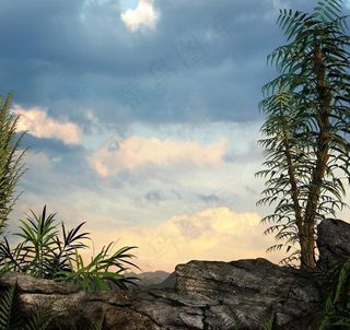 梦境背景 畸形怪石 绿树图片