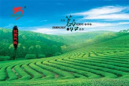 名茶背景psd模版下载