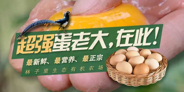 有机鸡蛋banner