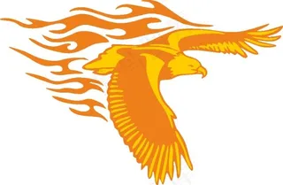 火焰展翅的老鹰图片